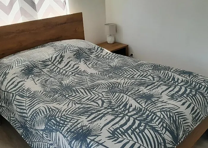 Apartament Thomas